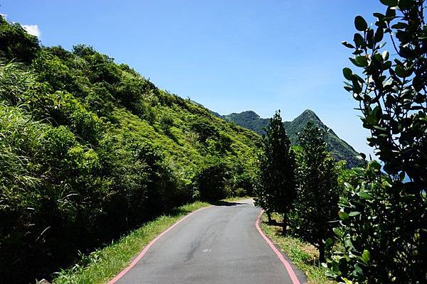 茶壺山產業道路 17.jpg