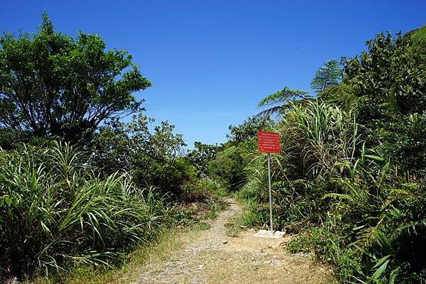 茶壺山產業道路 16.jpg