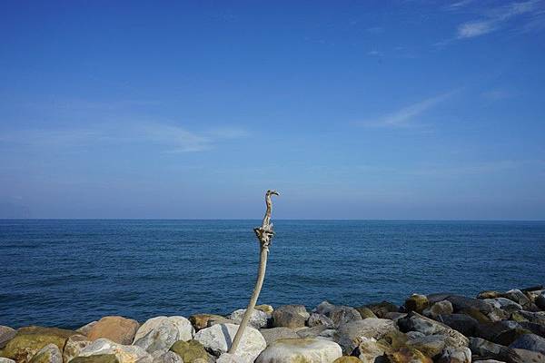 頭城濱海森林公園 03.jpg