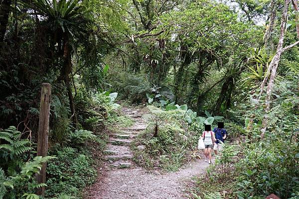 松羅國家步道 33.jpg