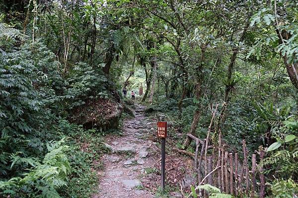 松羅國家步道 47.jpg