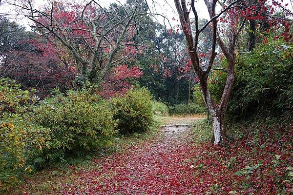 403 月山富田城 11.jpg