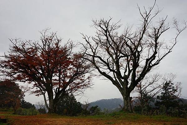 403 月山富田城 61.jpg