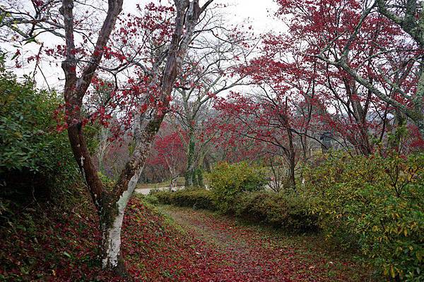 403 月山富田城 100.jpg