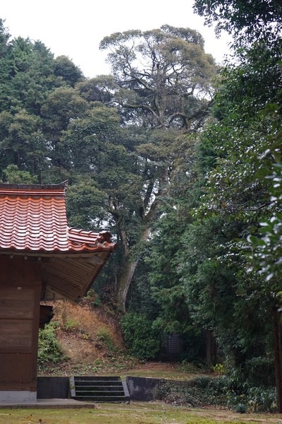 405 佐佐布久神社 14.jpg