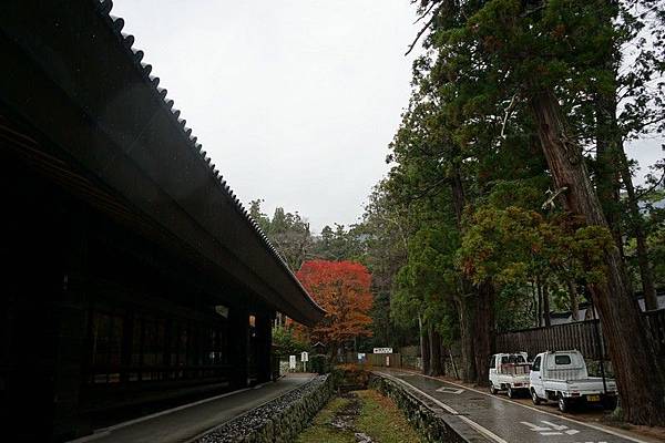 703 出雲大社 71.jpg