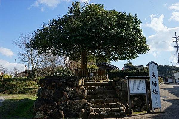 801 八重垣神社 01.jpg