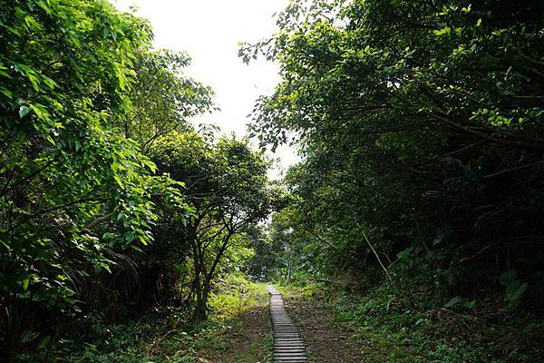 紅龍山（十方大覺禪寺入口） 04.jpg