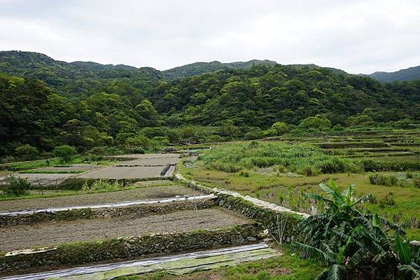 草嶺古道 01.jpg