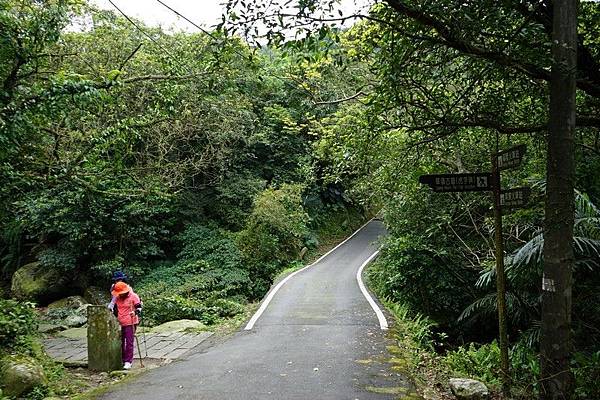 草嶺古道 21.jpg