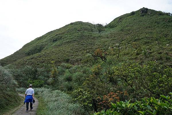 草嶺古道 55.jpg