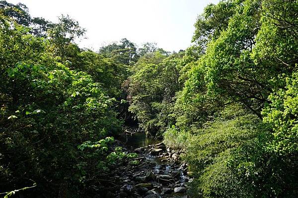 雙溪泰和里和平橋 06.jpg