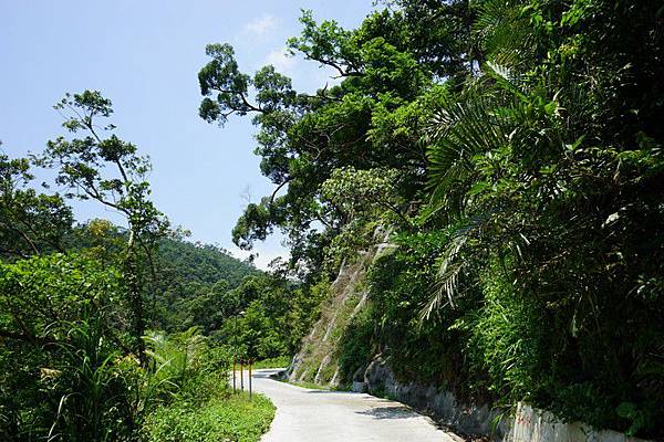 聖母登山步道 08.jpg