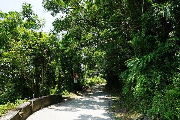 聖母登山步道 13.jpg