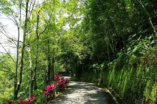 聖母登山步道 17.jpg