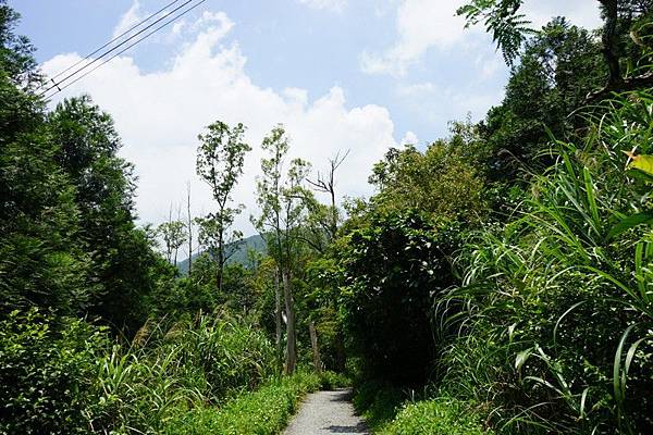 聖母登山步道 25.jpg