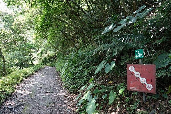 聖母登山步道 23.jpg