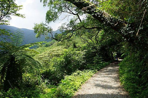 聖母登山步道 27.jpg