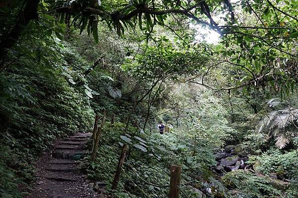 聖母登山步道 36.jpg