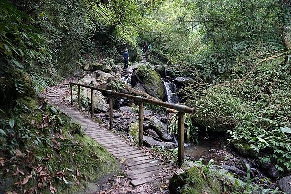 聖母登山步道 37.jpg