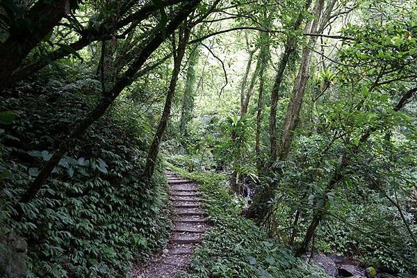 聖母登山步道 40.jpg