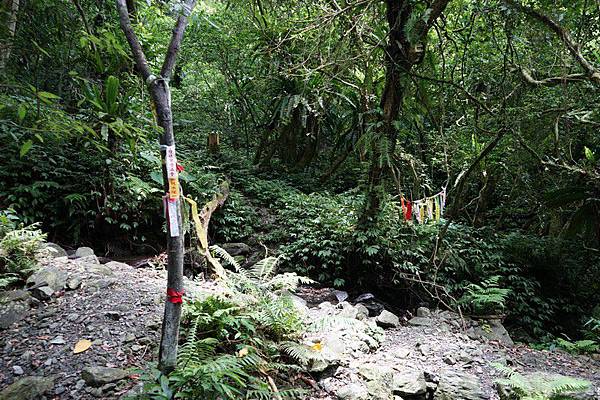 聖母登山步道 44.jpg