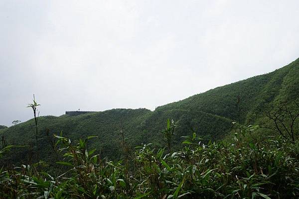 聖母登山步道 53.jpg