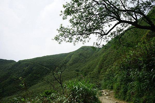 聖母登山步道 54.jpg