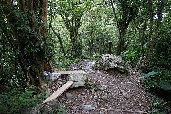 聖母登山步道 59.jpg