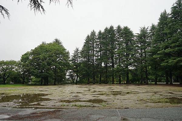 B03 仙台西公園 15.jpg