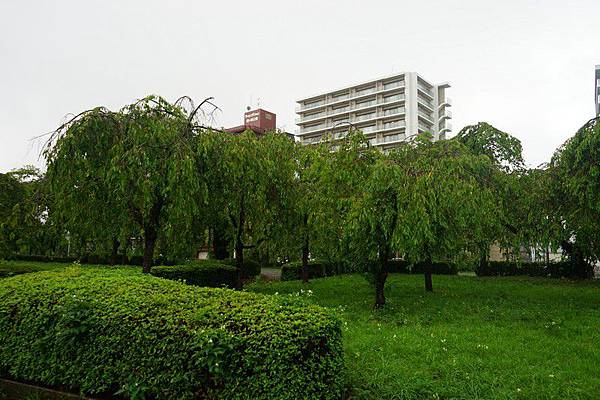 B14 榴岡公園 01.jpg B14 榴岡公園 01.jpg