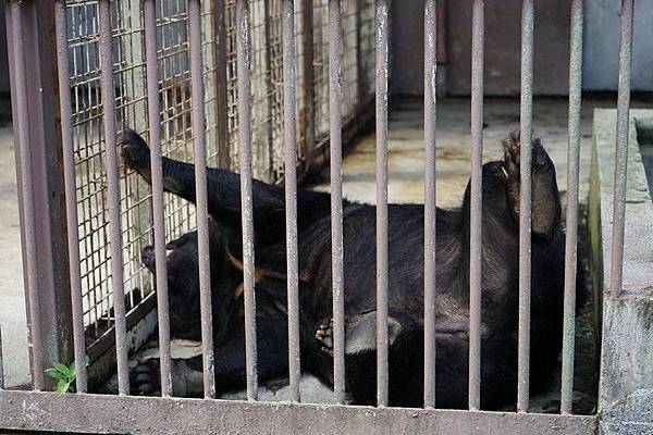 D06 東北野生動物園 57.jpg