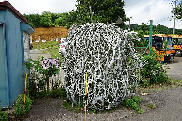 D06 東北野生動物園 111.jpg