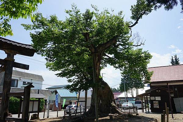 G06 新宮熊野神社 98.jpg