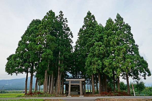 H13 豬苗代出雲神社 02.jpg