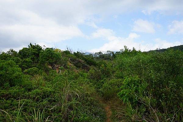 軍艦岩親山步道 09.jpg