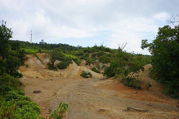 軍艦岩親山步道 19.jpg