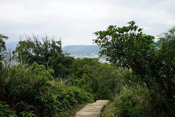 軍艦岩親山步道 31.jpg