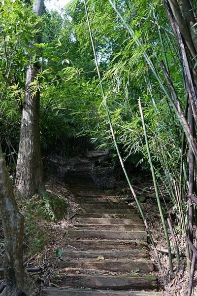 三貂嶺瀑布群步道 27.jpg