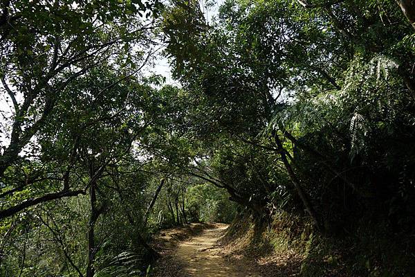 三貂嶺瀑布群步道 30.jpg