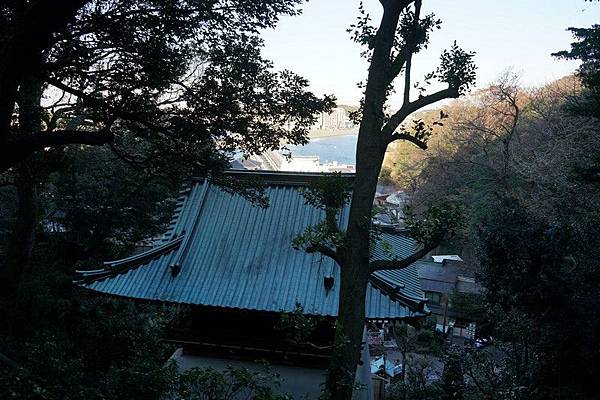 C12 江島神社 12.jpg