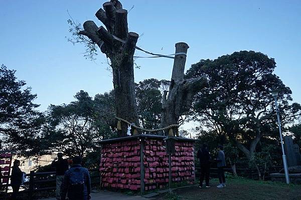 C12 江島神社 28.jpg