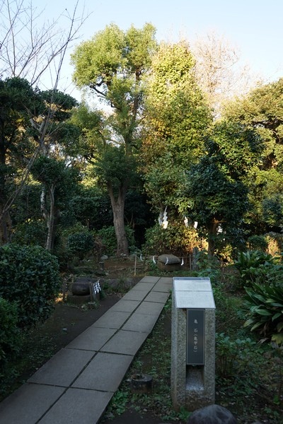 C14 江島神社奧津宮 02.jpg