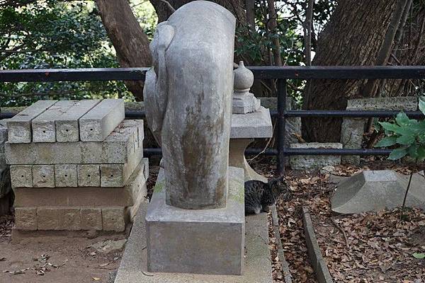 D01 兒玉神社 10.jpg