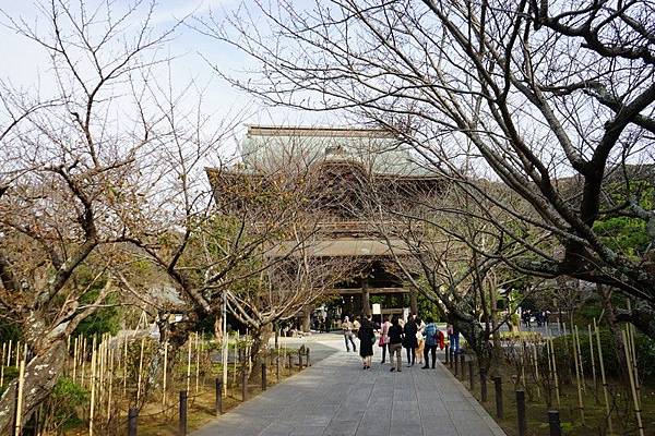 D06 建長寺 06.jpg