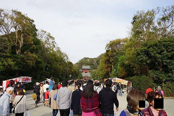 D08 鶴岡八幡宮 21.jpg