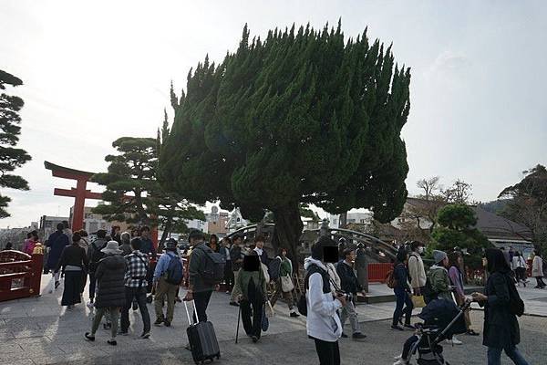 D08 鶴岡八幡宮 30.jpg