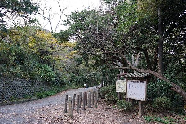 D10 源氏山公園 20.jpg