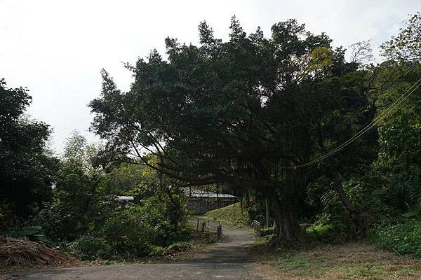 樂生療養院 75.jpg