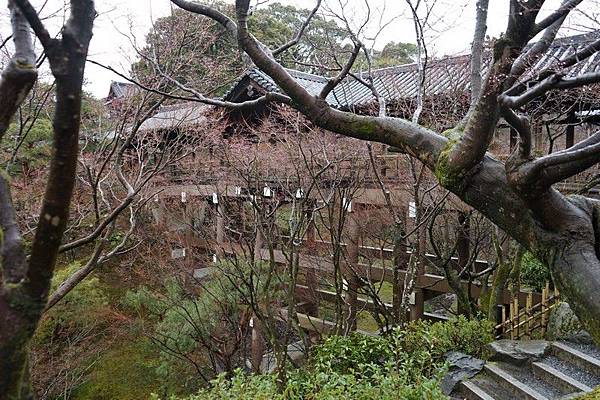 B09 東福寺通天橋、開山堂、普門院 02.jpg